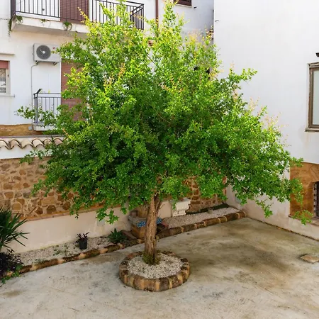 Apartment Assammichele